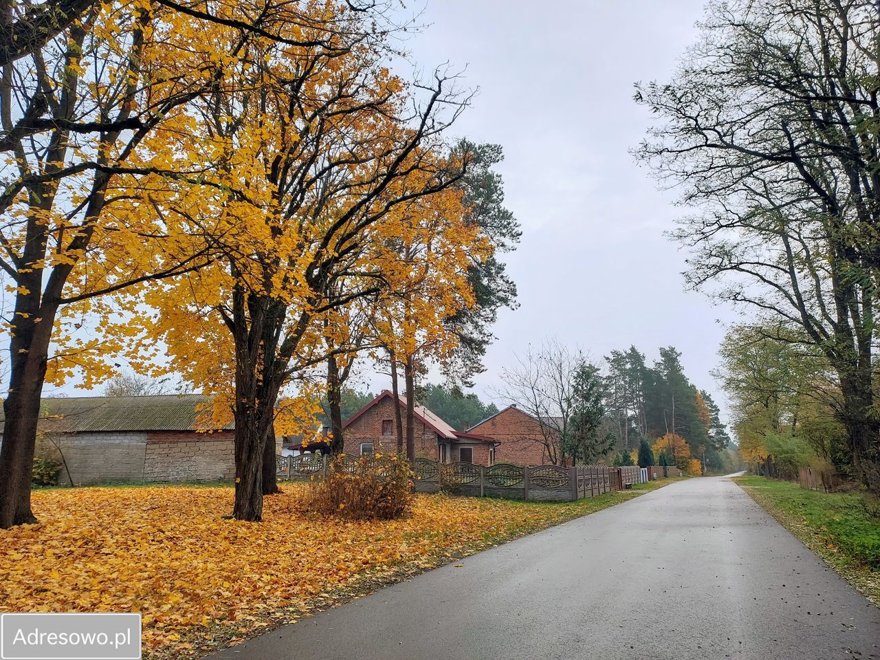 Działka rekreacyjna Zakrzówek Szlachecki. Zdjęcie 2