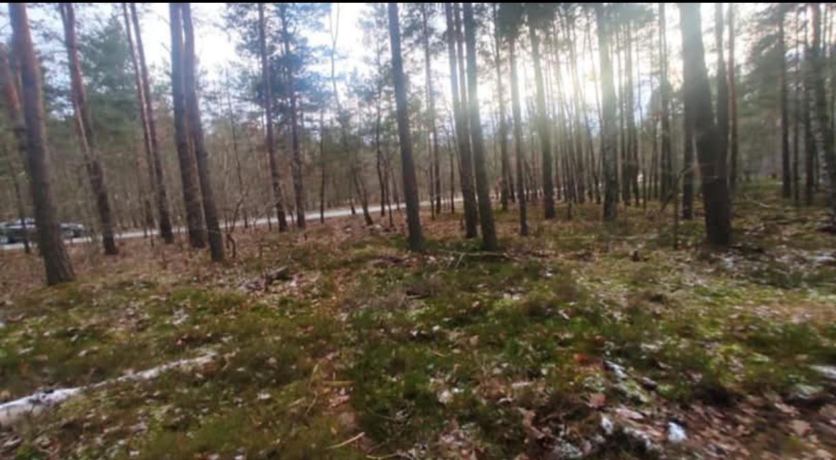 Działka leśna Warszawa Białołęka, ul. Wałuszewska. Zdjęcie 3