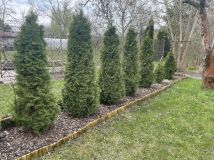 Działka rod Wrocław Fabryczna. Zdjęcie 2