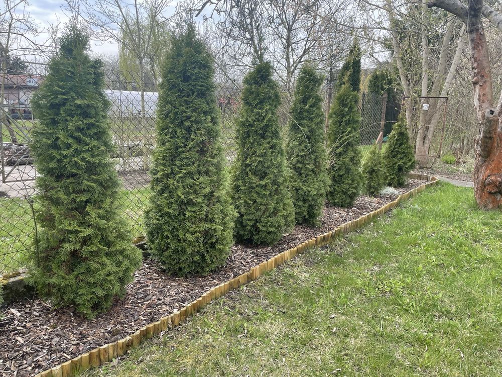 Działka rod Wrocław Fabryczna. Zdjęcie 3