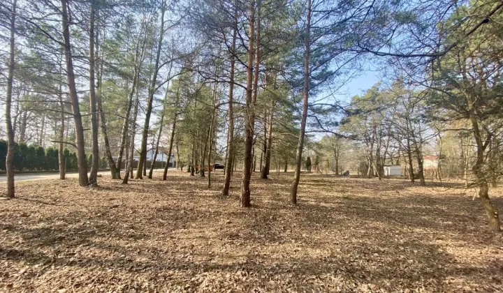 Działka budowlana Sulejówek Miłosna