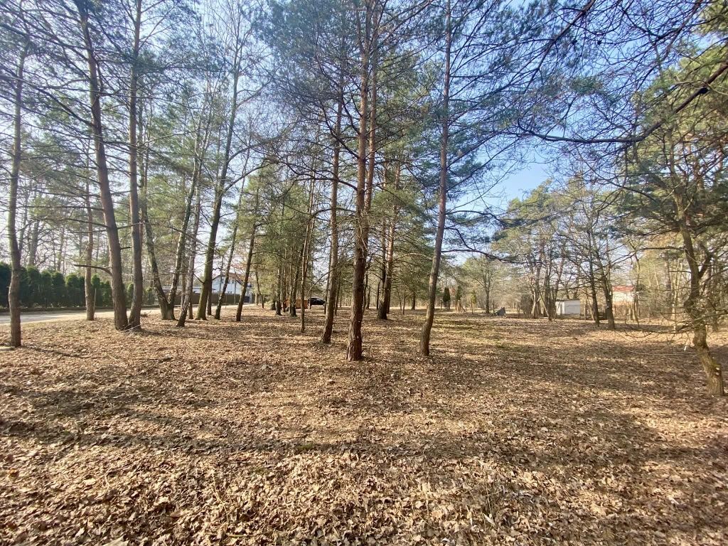 Działka budowlana Sulejówek Miłosna. Zdjęcie 1