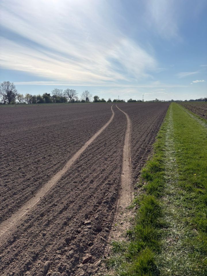 Działka budowlana Objazda. Zdjęcie 4