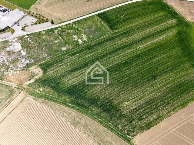 Działka rolna Siedlec. Zdjęcie 2