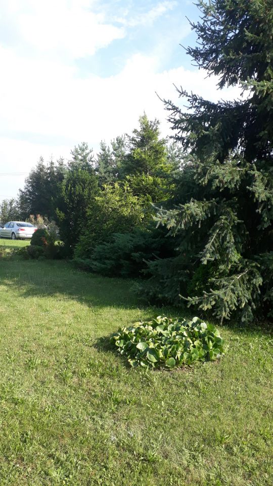 Działka siedliskowa Tarkowo Dolne. Zdjęcie 11