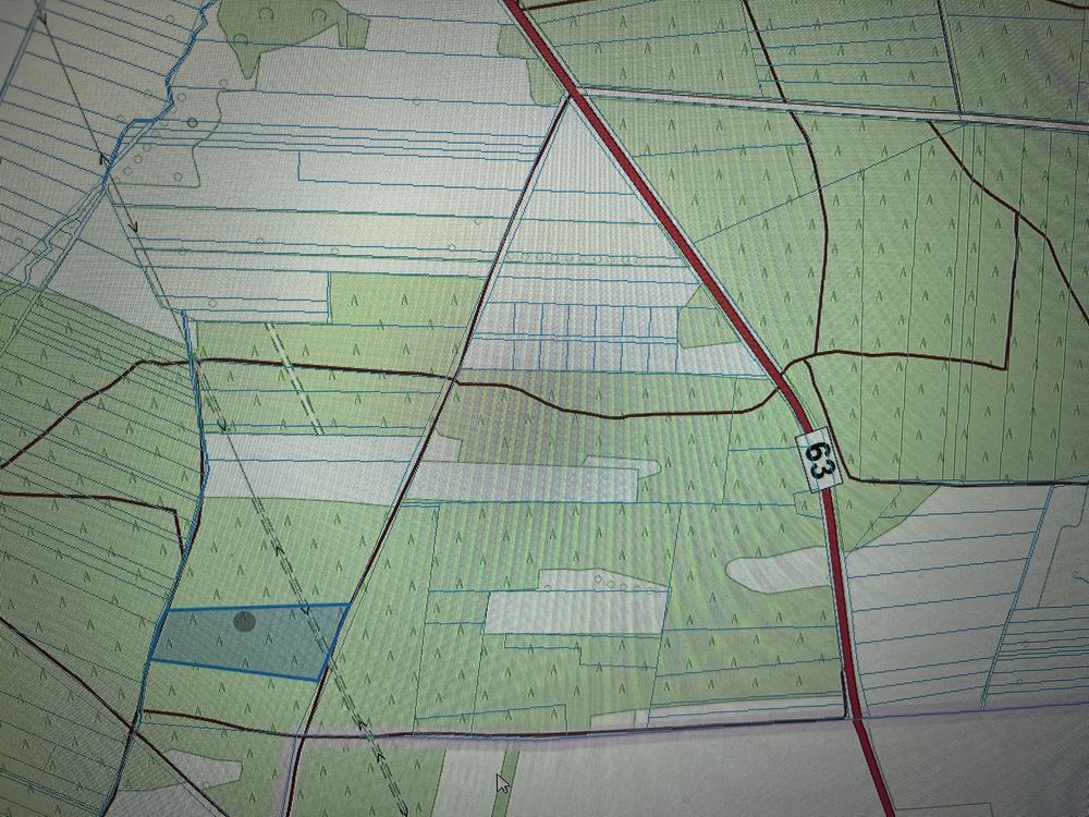 Działka leśna Gostchorz. Zdjęcie 3