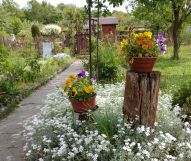 Działka rekreacyjna Zabrze Guido, Os. Janek. Zdjęcie 1