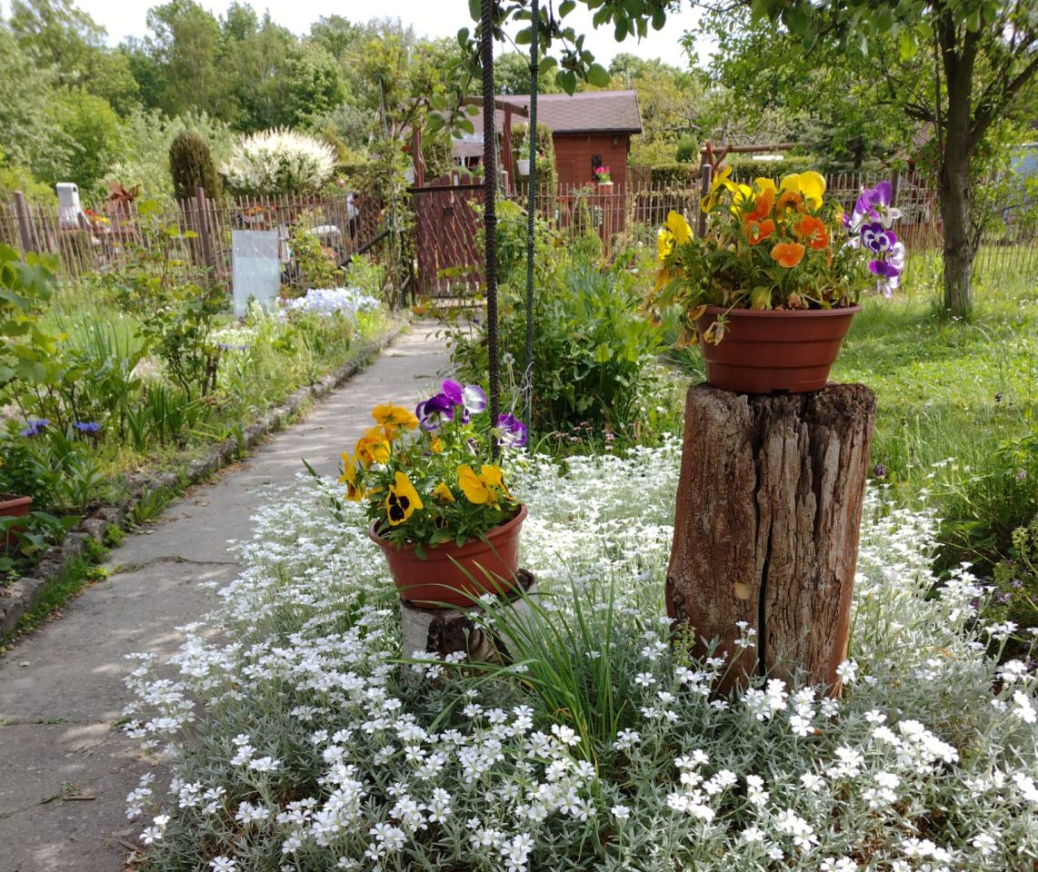 Działka rekreacyjna Zabrze Guido, Os. Janek. Zdjęcie 2