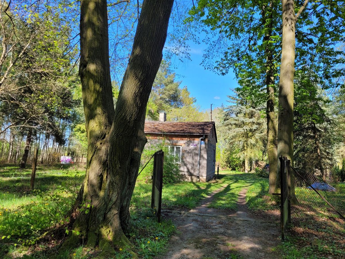 siedlisko Zaręby, ul. Kuropatwy. Zdjęcie 13