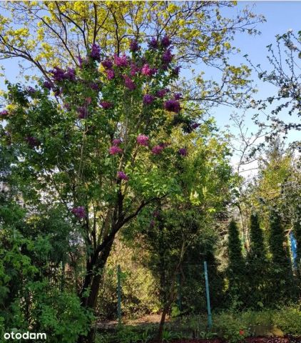 Działka rod Warszawa Śródmieście. Zdjęcie 1