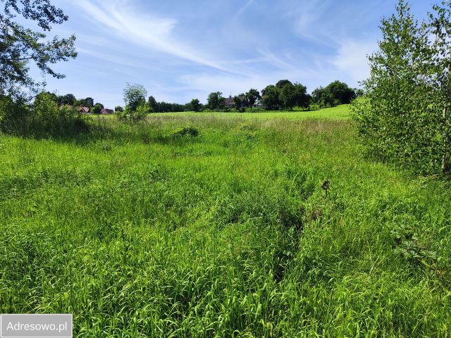 Działka budowlana Dzikowiec. Zdjęcie 1