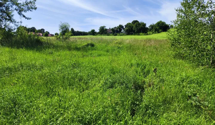 Działka budowlana Dzikowiec