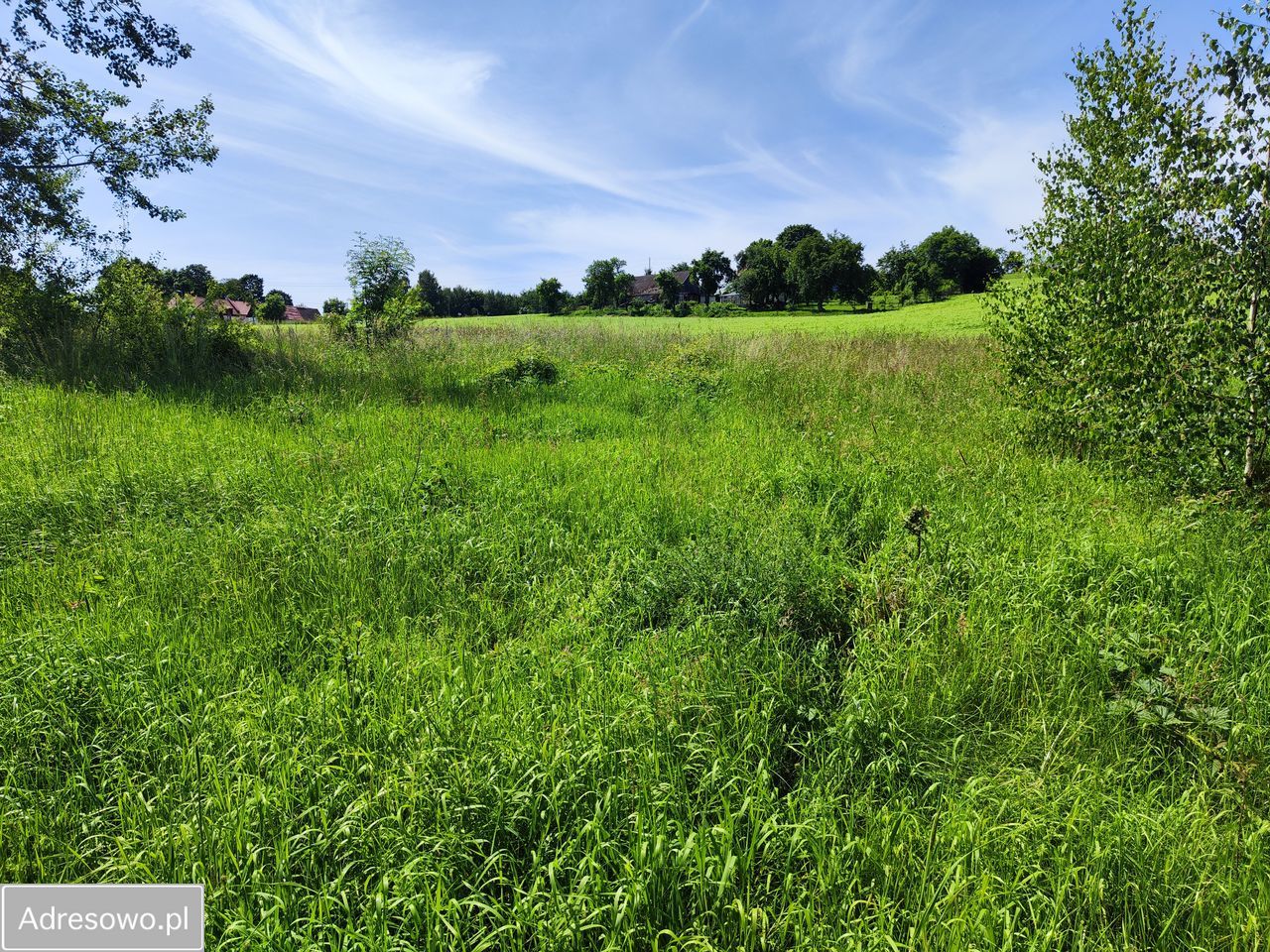 Działka budowlana Dzikowiec