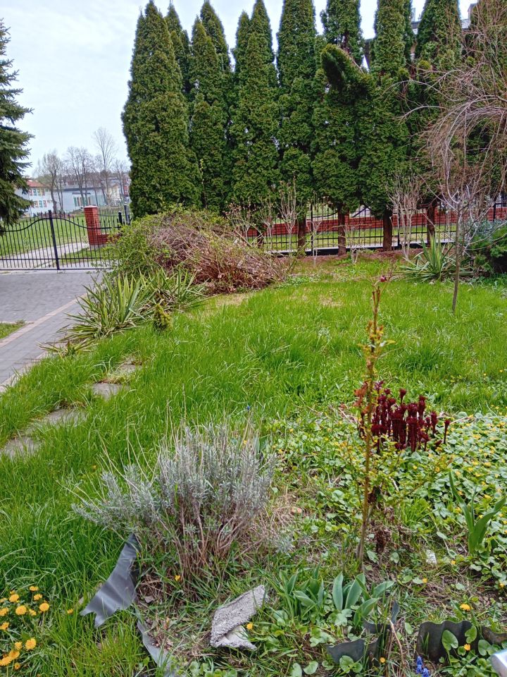 bliźniak, 5 pokoi Tyczyn Półanek, Parkowa. Zdjęcie 2