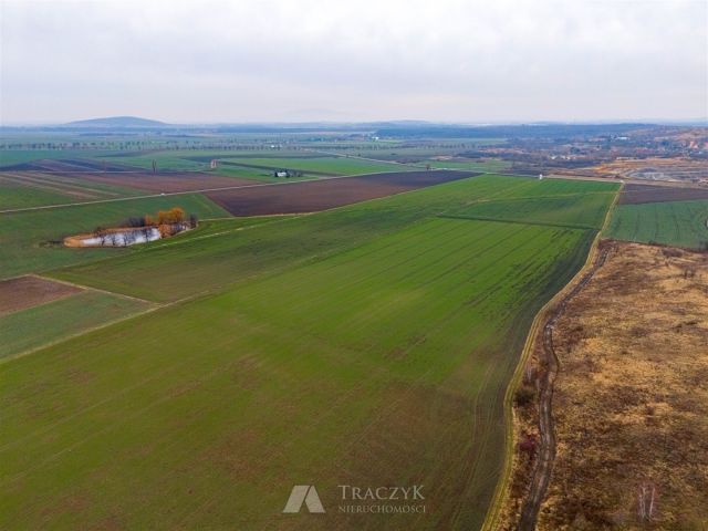 Działka rolna Rusko. Zdjęcie 9