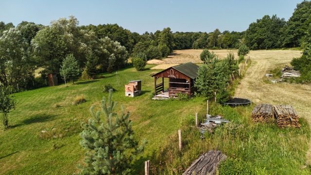 Działka siedliskowa Nowa Wieś Wielka. Zdjęcie 1
