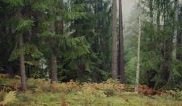 Działka budowlana Purda