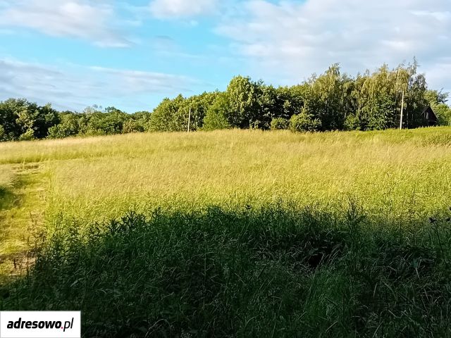 Działka budowlana Dobranowice. Zdjęcie 13