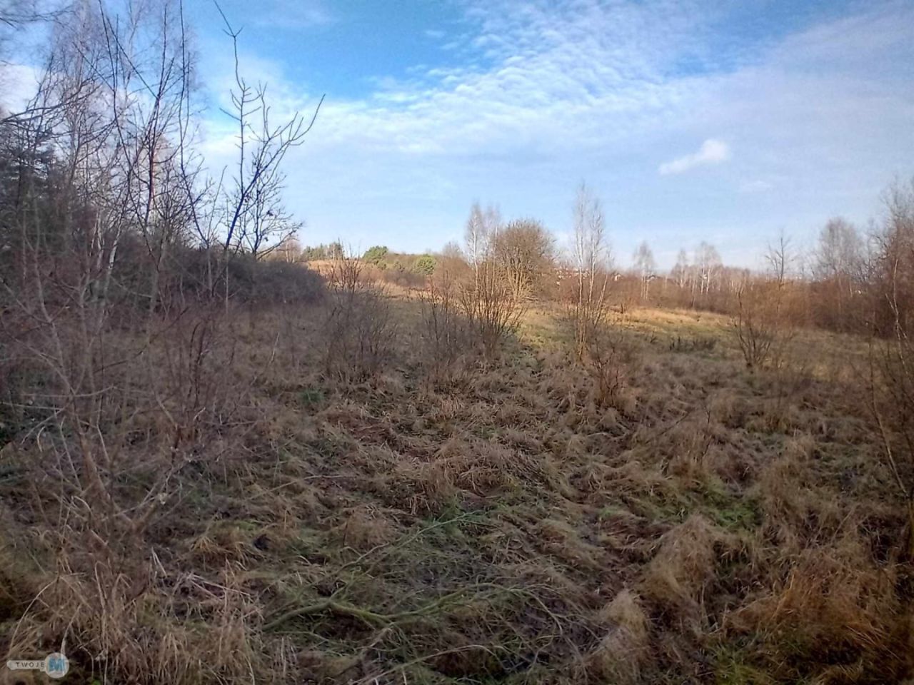 Działka inwestycyjna Daleszyce. Zdjęcie 11