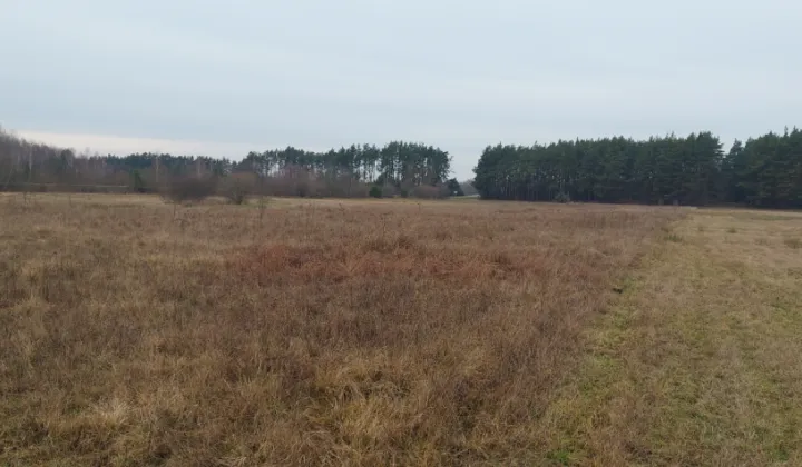 Działka rolna Deskurów, ul. Warszawska