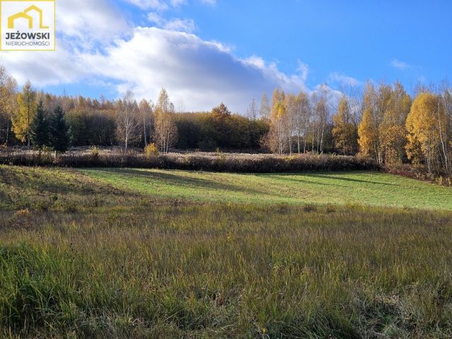 Działka budowlana Kazimierz Dolny Jeziorszczyzna. Zdjęcie 4