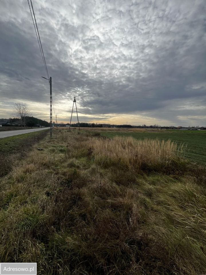 Działka budowlana Wólka Gonciarska. Zdjęcie 4