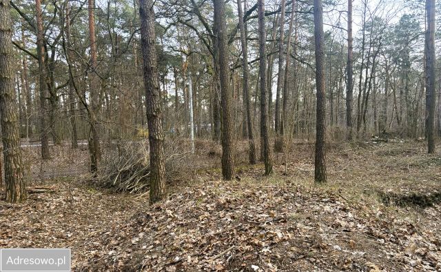 Działka budowlana Zalesie Górne, ul. Wiekowej Sosny. Zdjęcie 1