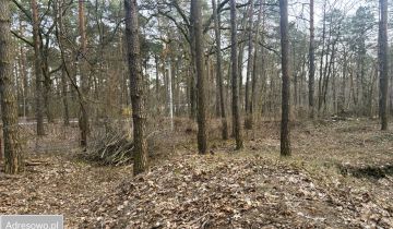 Działka budowlana Zalesie Górne, ul. Wiekowej Sosny