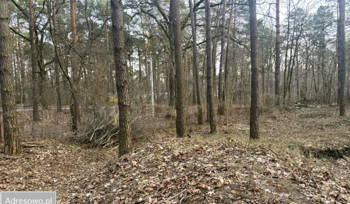Działka budowlana Zalesie Górne, ul. Wiekowej Sosny