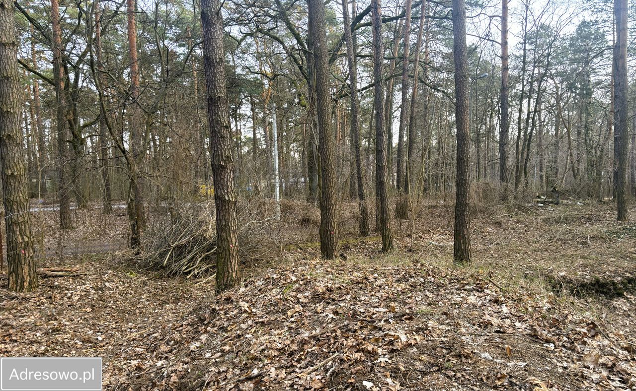 Działka budowlana Zalesie Górne, ul. Wiekowej Sosny