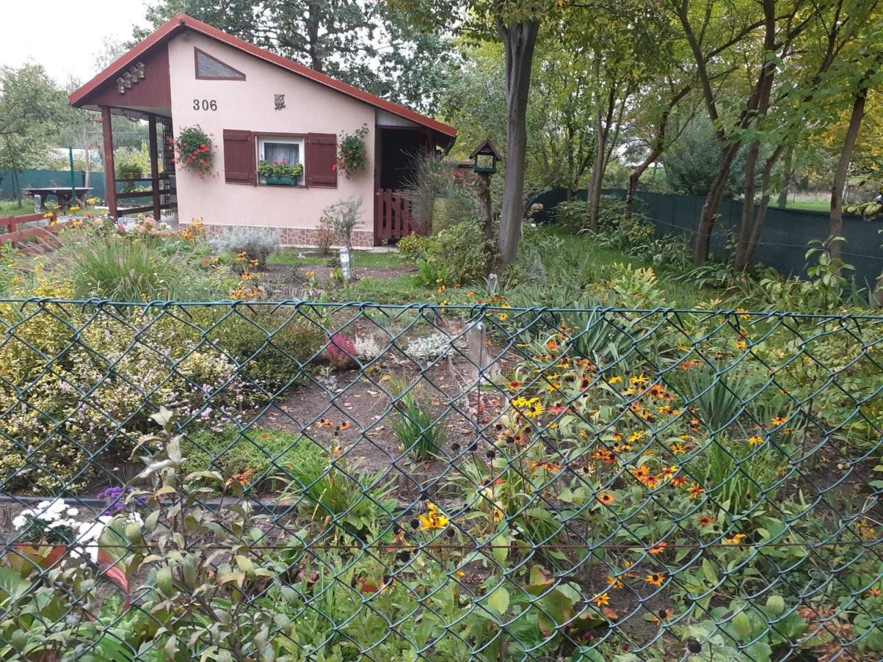 Działka rod Wrocław Psie Pole, ul. Wilczycka. Zdjęcie 2