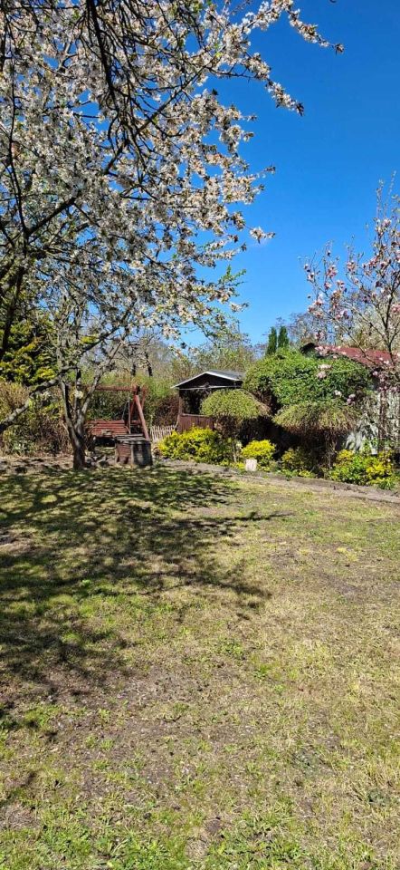 Działka rod Gorzów Wielkopolski. Zdjęcie 8