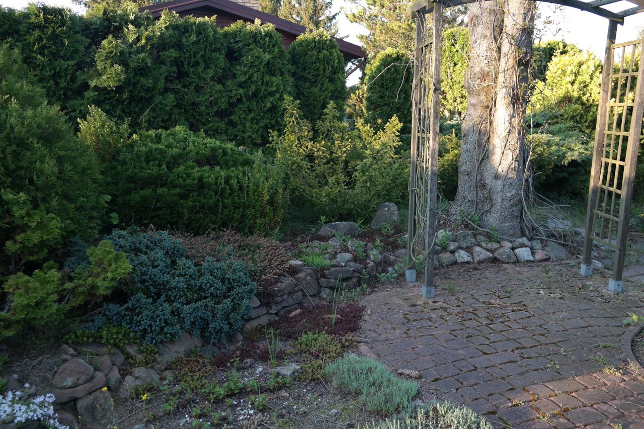 Działka rod Niewodnica Kościelna, ul. Działkowców. Zdjęcie 23