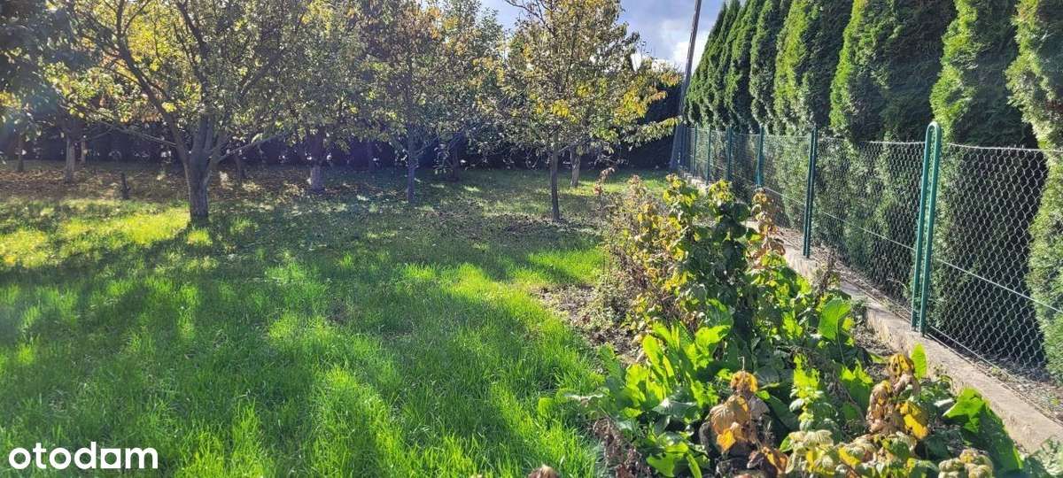 dom wolnostojący, 4 pokoje Sulnowo. Zdjęcie 17