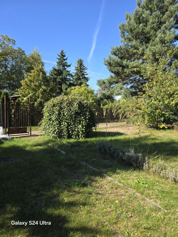 Działka rod Września Centrum, ul. Jana Matejki. Zdjęcie 8