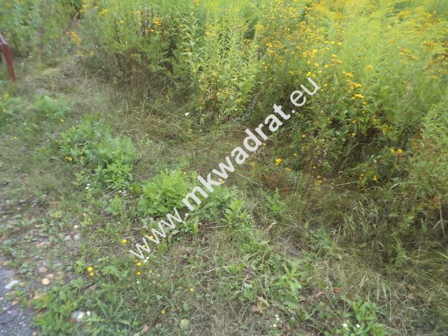 Działka siedliskowa Wola Pękoszewska. Zdjęcie 5