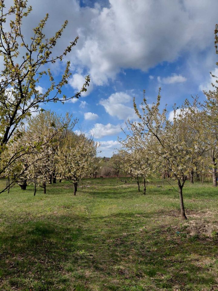 Działka budowlana Kraczewice Rządowe. Zdjęcie 7