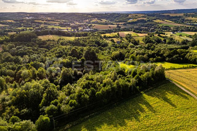 Działka rolna Nowy Borek. Zdjęcie 3