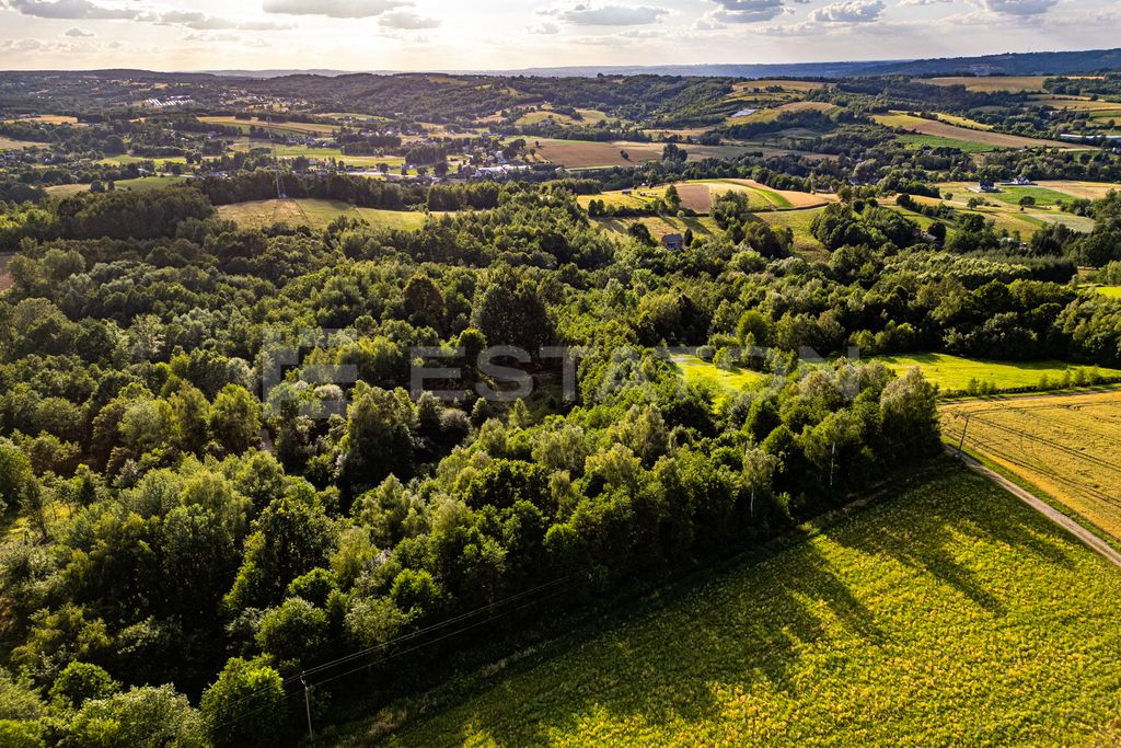 Działka rolna Nowy Borek. Zdjęcie 3