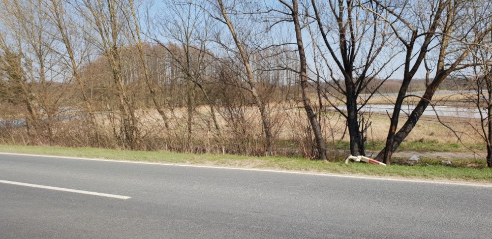 Działka rolna Ognica. Zdjęcie 3