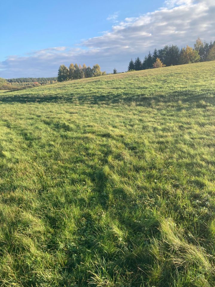 Działka rolna Burdąg. Zdjęcie 6