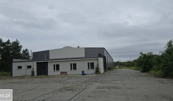 Hala/magazyn Sędziszów Małopolski, ul. Krucza