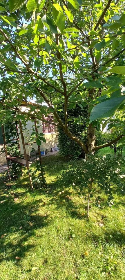 Działka rod Świdnica, ul. Śląska. Zdjęcie 5