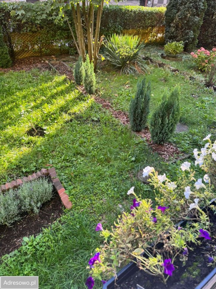 Mieszkanie 2-pokojowe Siemianowice Śląskie Michałkowice, ul. Pocztowa. Zdjęcie 12