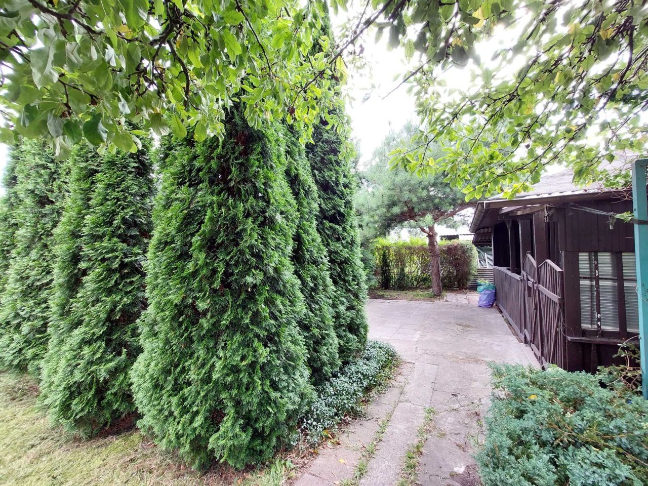 Działka rod Wołomin. Zdjęcie 7