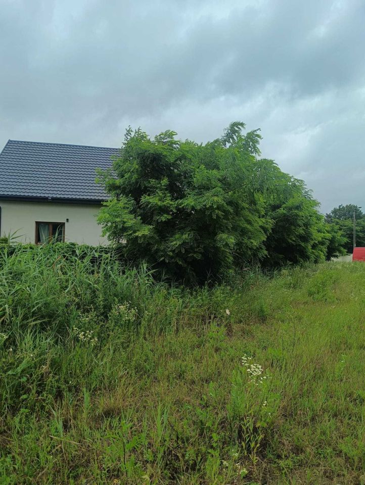 Działka budowlana Otwock Wielki. Zdjęcie 3