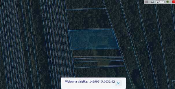 Działka leśna Wyszomierz. Zdjęcie 5