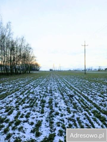 Działka budowlana Kijewo Szlacheckie. Zdjęcie 1