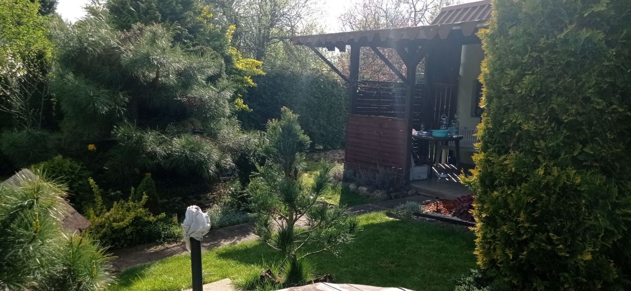 Działka rod Sosnowiec. Zdjęcie 7