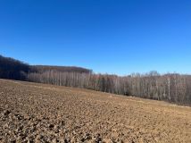 Działka leśna Rokietnica Wola. Zdjęcie 3